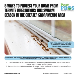 5 Ways to Protect Your Home from Termite Infestations This Swarm Season in Greater Sacramento with Pest Pros Pest Solutions