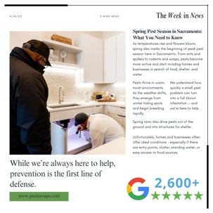 Spring in Sacramento brings more than sunshine – it brings pests. Learn why pest activity spikes and how Pest Pros Pest Solutions can keep your home or business protected.