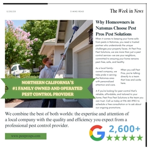 Why Homeowners in Natomas Choose Pest Pros Pest Solutions