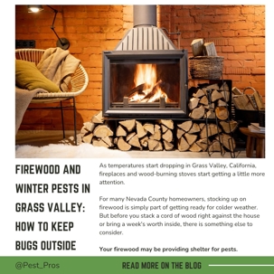 Firewood and Winter Pests in Grass Valley: How to Keep Bugs Outside