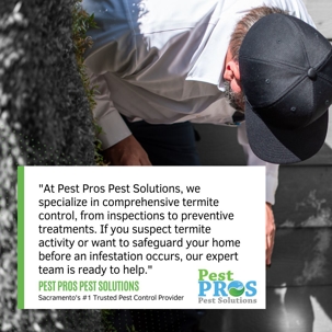 Protecting Your Home from Termite Damage: Essential Tips for Sacramento Homeowners