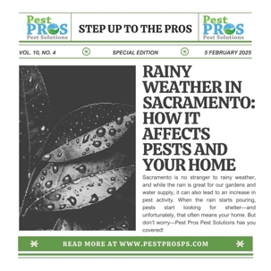 Rainy Weather in Sacramento: How It Affects Pests and Your Home