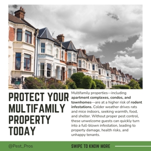 Winter Pest Challenges for Multifamily Properties in the South Bay: How Pest Pros Pest Solutions Can Help