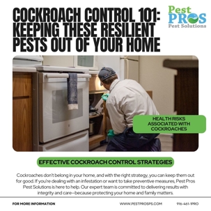 Cockroach Control 101: Keeping These Resilient Pests Out of Your Home
