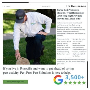 Spring Pest Problems in Roseville. What Homeowners Are Seeing Right Now (and How to Stay Ahead of It)
