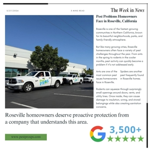 Pest Problems Homeowners Face in Roseville, California