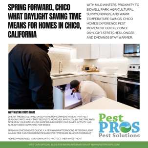 Spring Forward, Chico What Daylight Saving Time Means for Homes in Chico, California