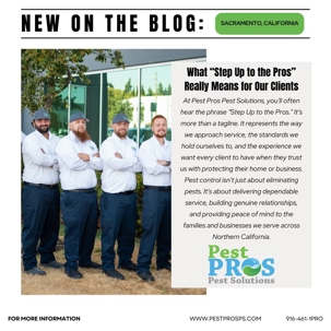 What “Step Up to the Pros” Really Means for Our Clients