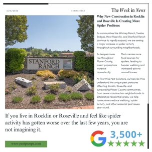 Why New Construction in Rocklin and Roseville Is Creating More Spider Problems