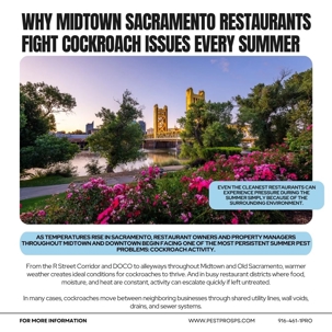 Why Midtown Sacramento Restaurants Fight Cockroach Issues Every Summer