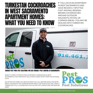 Turkestan Cockroaches in West Sacramento Apartment Homes: What You Need to Know | Pest Pros Pest Solutions