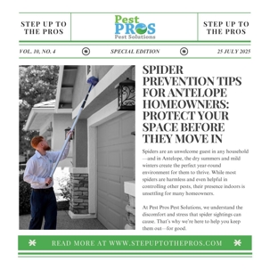 Spider Prevention Tips for Antelope Homeowners: Protect Your Space Before They Move In | Pest Pros Pest Solutions