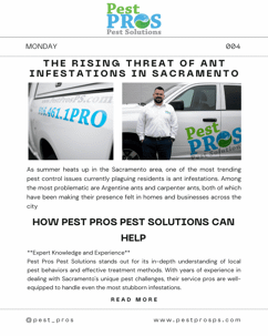The Rising Threat of Ant Infestations in Sacramento and How Pest Pros Pest Solutions Can Help