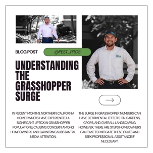 Understanding the grasshopper surge