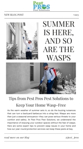 Tips from Pest Pros Pest Solutions to Keep Your Home Wasp-Free