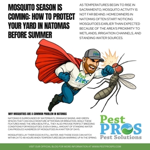 Mosquito Season Is Coming: How to Protect Your Yard in Natomas Before Summer