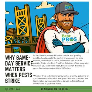 A Pest Pros Pest Solutions technician providing same-day pest control service at a Sacramento home, ensuring quick protection for a family