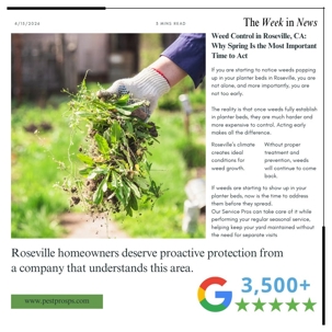 Weed Control in Roseville, CA: Why Spring Is the Most Important Time to Act