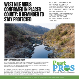 West Nile Virus in Placer County | Pest Pros Mosquito Control