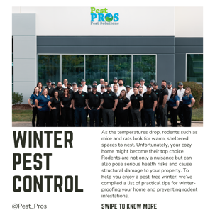Winter Pest Control Tips: How to Keep Your Home Rodent-Free This Season