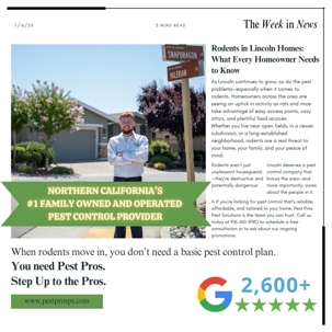 Rodents in Lincoln Homes: What Every Homeowner Needs to Know | Pest Pros Pest Solutions