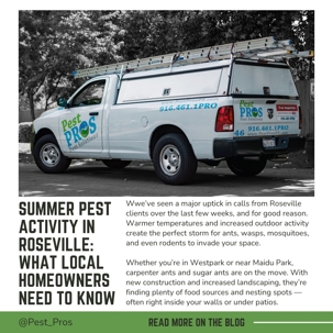 Summer Pest Activity in Roseville: What Local Homeowners Need to Know | Pest Pros Pest Solutions