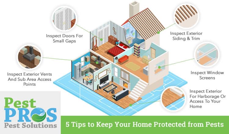 graphic for home pest control services