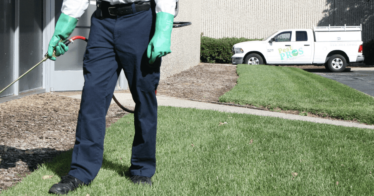 pest control technician spraying outdoors