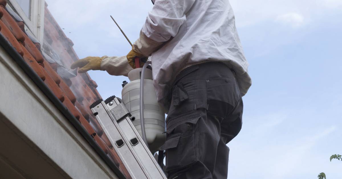 technician on roof