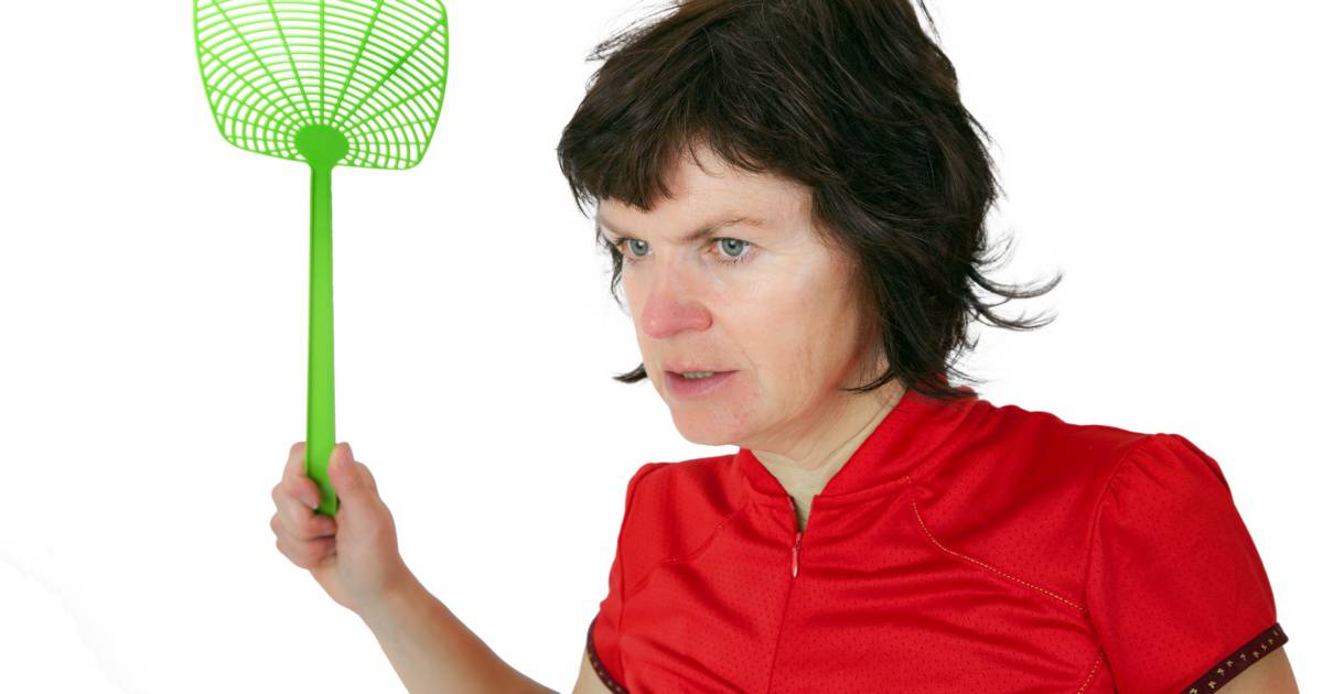 woman with flyswatter 